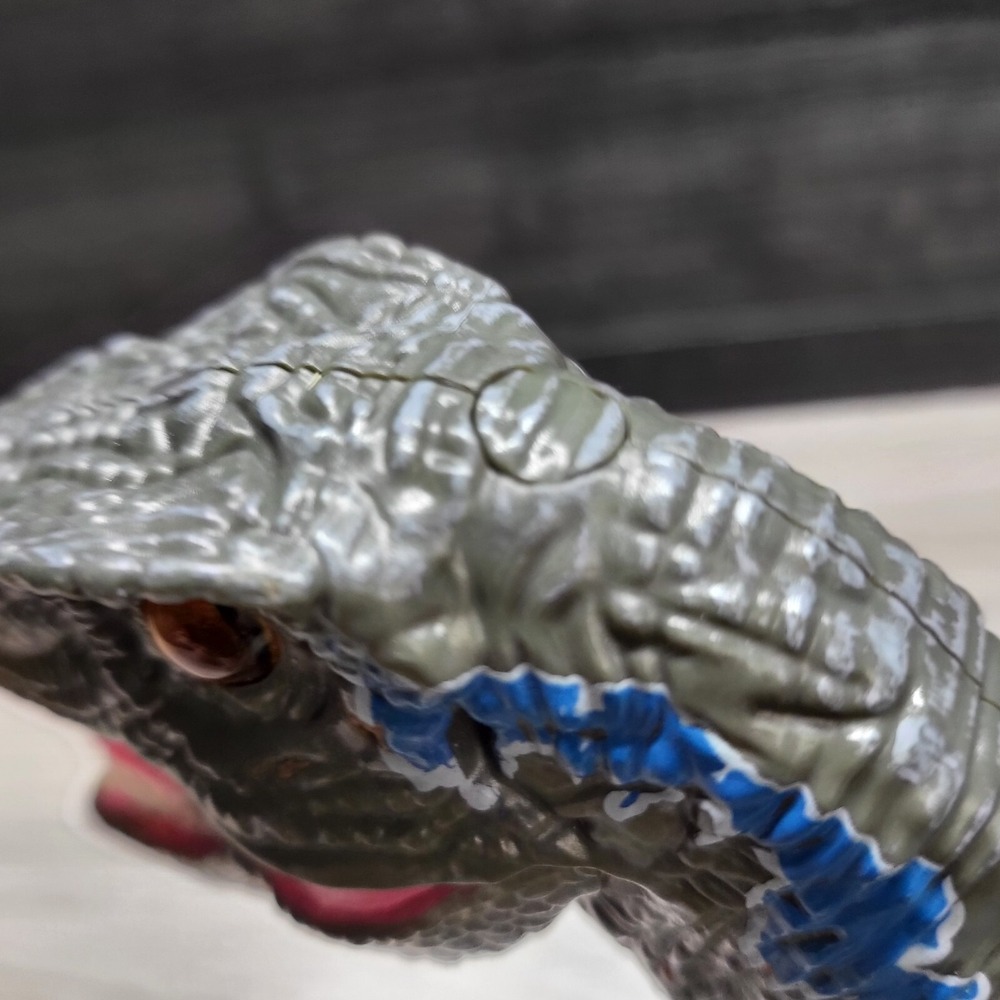 Remote Controlled Raptor No Remote! Tested! - Picture 13 of 16